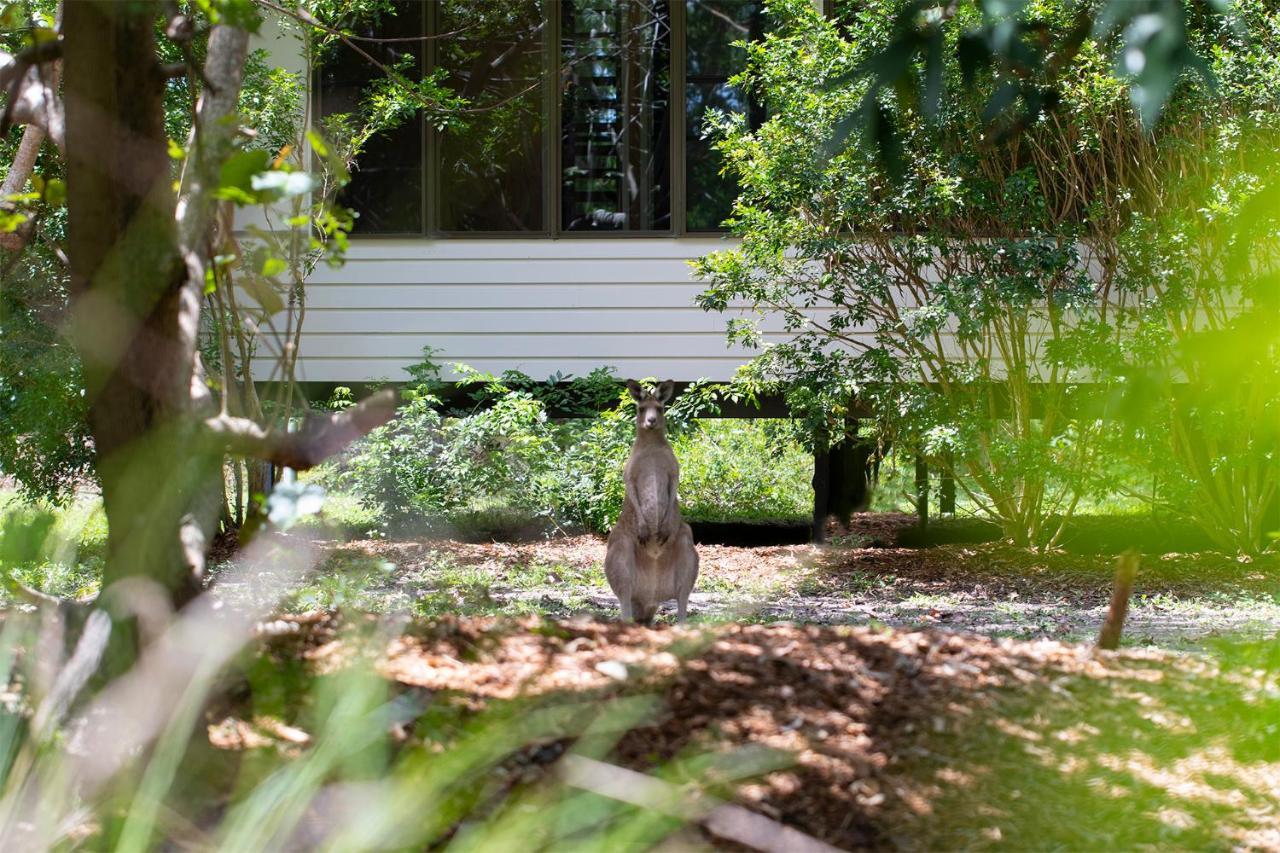 Eumarella Shores Noosa Lake Retreat Noosaville Exterior foto